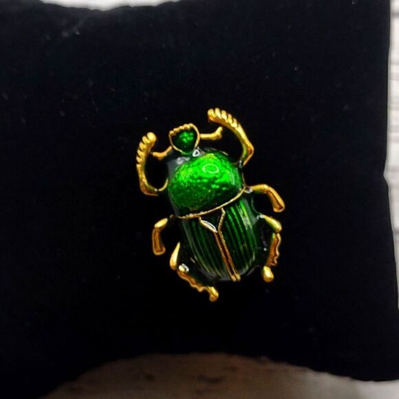 Beetle Brooch Pin.  P1 - Picture 1 of 6
